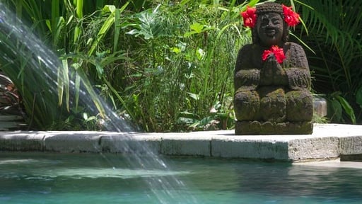 Villa Bougainvillea Swimming pool