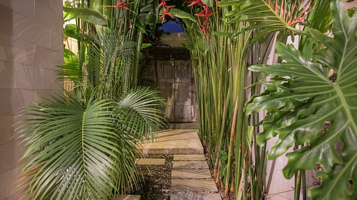 Villa Briana Others