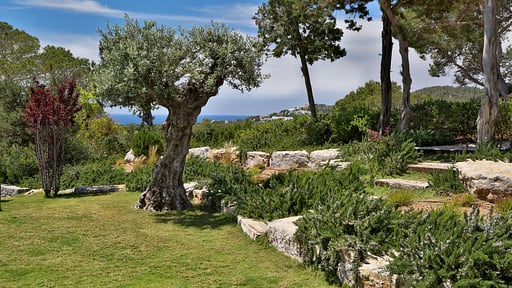 Villa C’anouch Garden