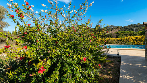 Villa Ca Na Xisca II Прочее