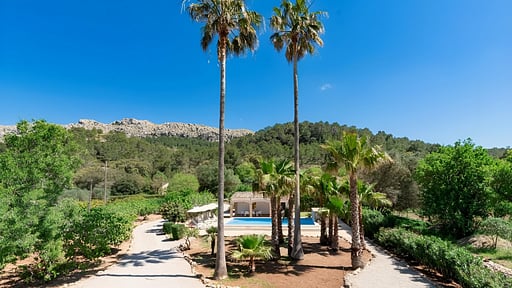 Cal Papa Фото с дрона