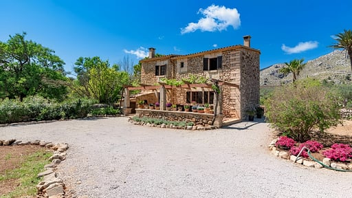 Cal Papa Прочее