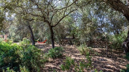 Villa Camarex Garten