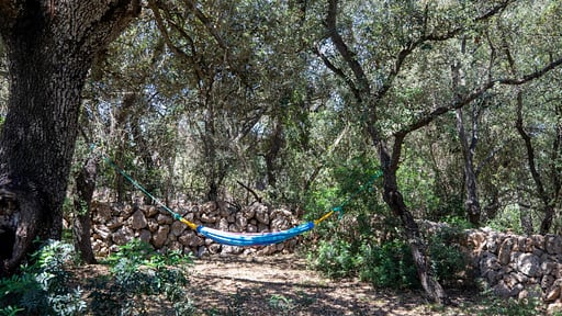 Villa Camarex Garten