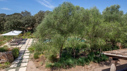 Villa Camarex Garten