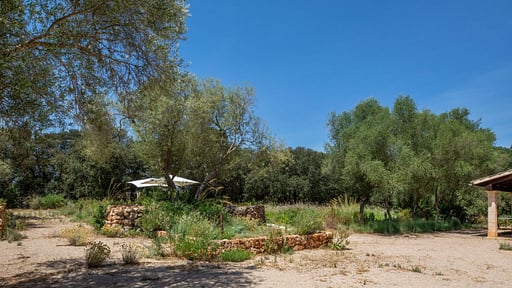 Villa Camarex Garten