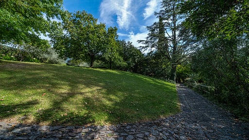 Villa Camilla Garden