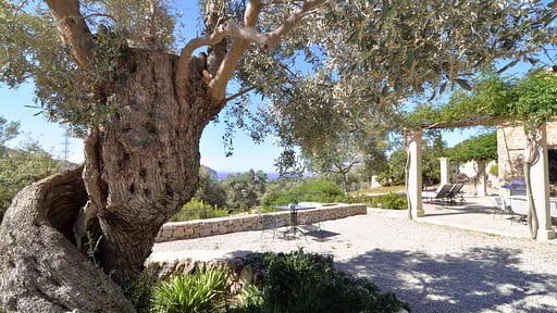 Villa Camp De Mar Otros