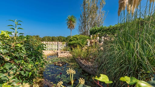 Villa Camp del Bosch Garden