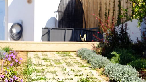 Villa Can Benet de sa Cubana Others