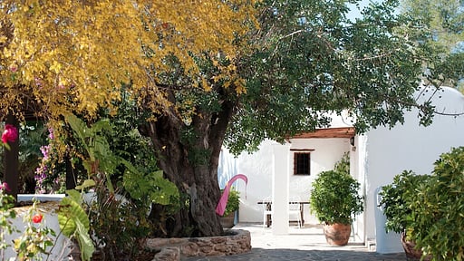 Villa Can Blaia Others