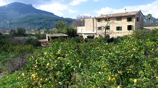 Villa Can Llimona Otros