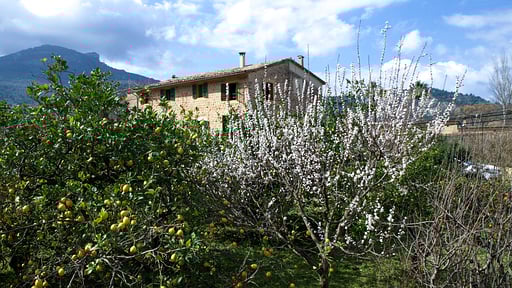 Villa Can Llimona Otros