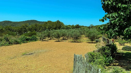 Villa Can Lluis Benirras Garden