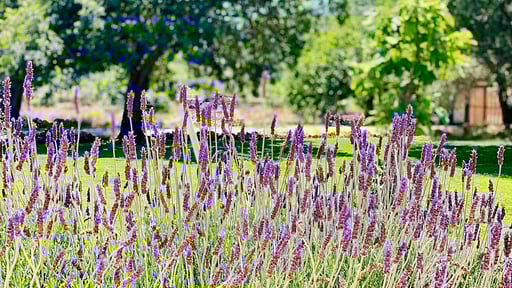 Villa Can Logar Otros 