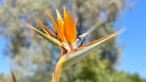 Villa Can Logar Otros 