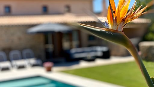 Villa Can Logar Otros 