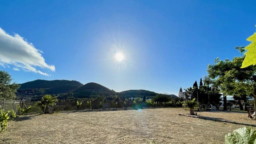 Villa Can Palau Garden