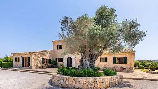 Villa Can Paroya Others