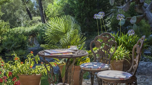 Villa Can Punxa Dalt Сад