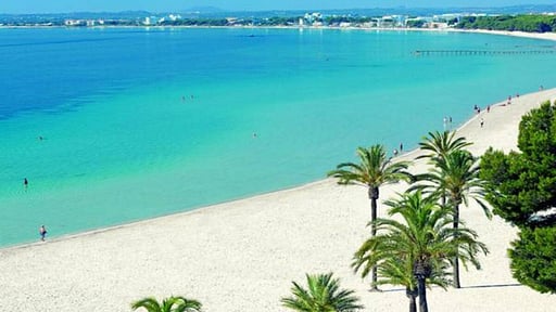 Villa Can Vives Others