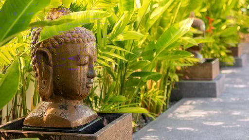 Villa Caprice Others