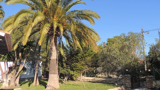 Villa Cara Murada Garden