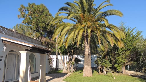 Villa Cara Murada Garden