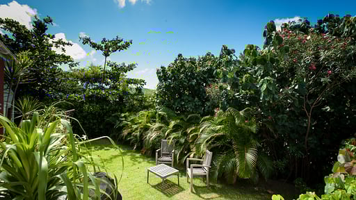 Villa Caribbean Breeze Garden