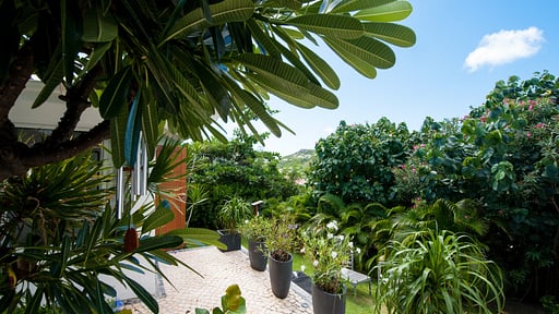 Villa Caribbean Breeze Garden