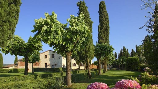 Villa Carli Andere