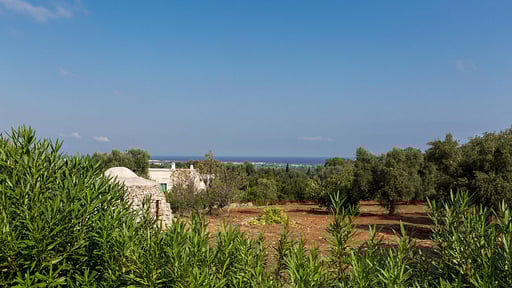 Villa Carlita Others