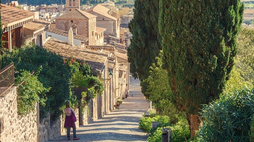 Villa Carolina Pollensa Прочее