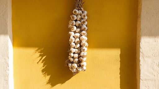 Villa Carolina Others