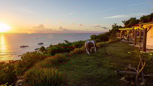 Villa Carpe Diem Others