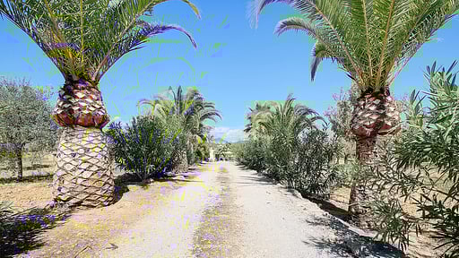 Villa Cas Frares Прочее