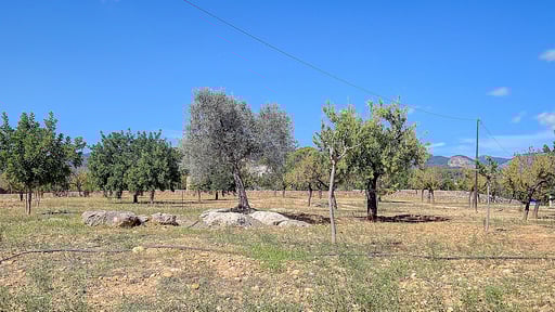 Villa Cas Frares Прочее