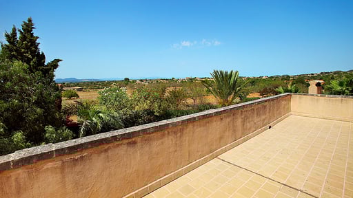 Cas Teuler Petit Others 