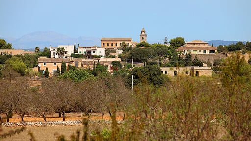 Cas Teuler Petit Others 