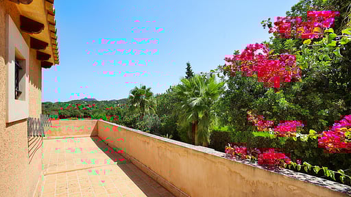 Cas Teuler Petit Others 