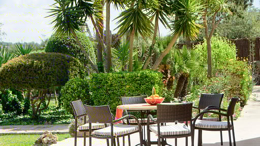 Cas Teuler Petit Others 