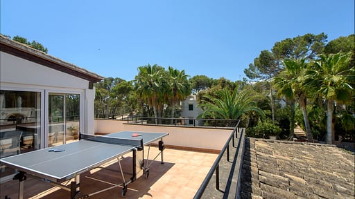 Casa Baskins Table tennis