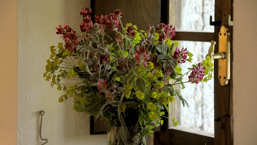 Villa Casa di Lilli Autres