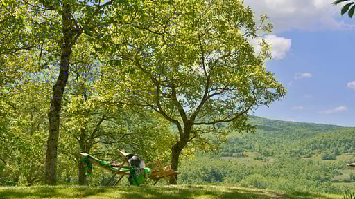 Villa Casa di Lilli Autres