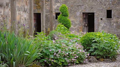 Villa Casa di Pietro Others