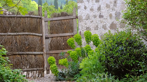 Villa Casa di Pietro Others