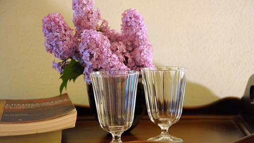 Villa Casa di Pietro Others