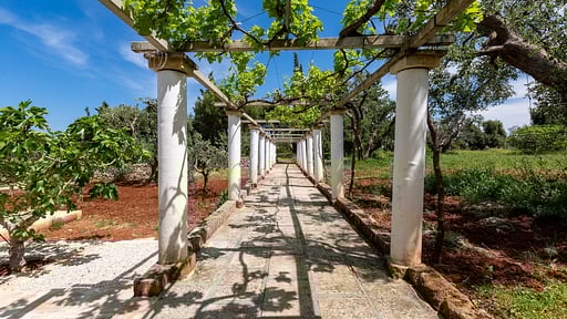 Villa Casale La Torreta Others