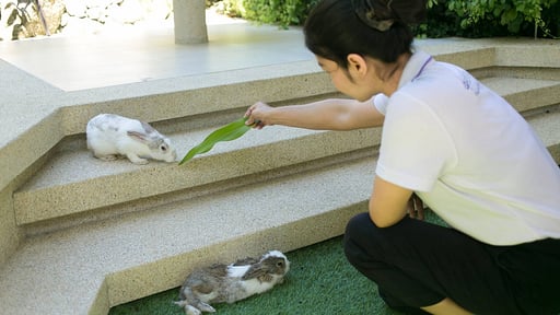 Villa Cascade Villa staff