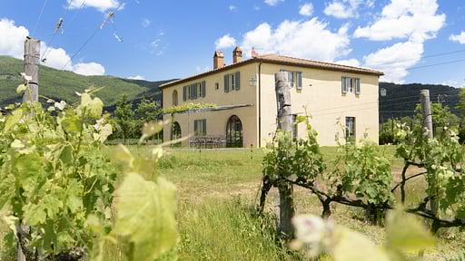 Villa Casetta Others